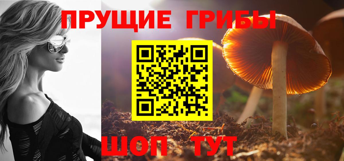 Псилоцибиновые грибы Magic Shrooms  Вход с VPN  Узловая 